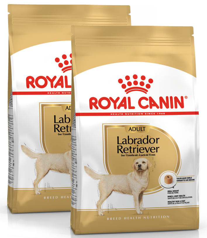 2x12kg Royal Canin Labrador Retriever Adult - Crocchette per Cani 2x12kg Royal Canin Labrador Retriever Adult - Crocchette per Cani